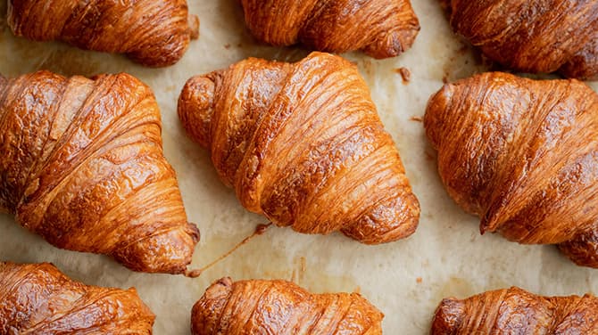 豊富なラインナップ